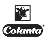 Copia de RE DISEÑO_WEBSITE (6)